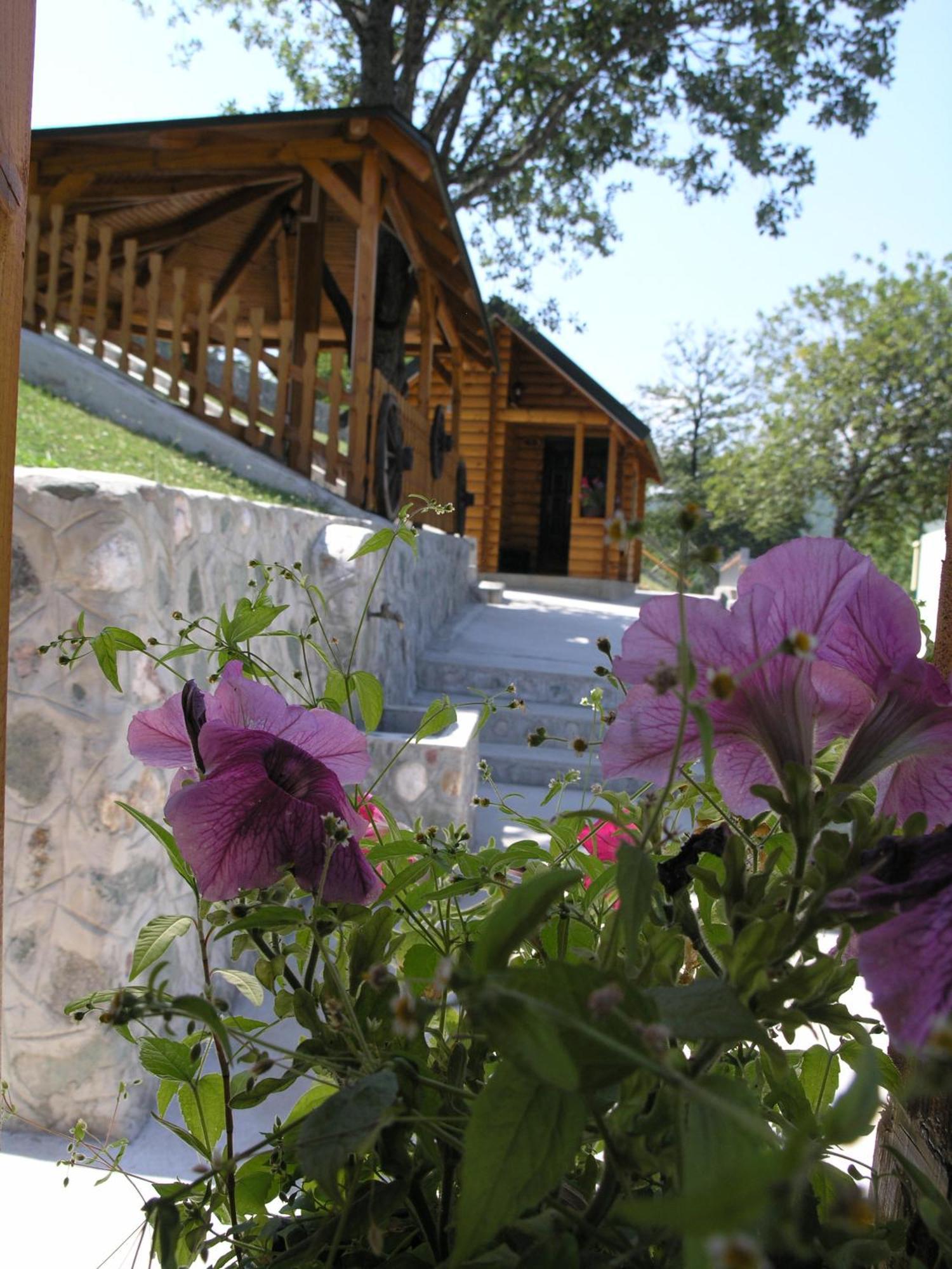 Motel Krstac Mojkovac Bilik gambar