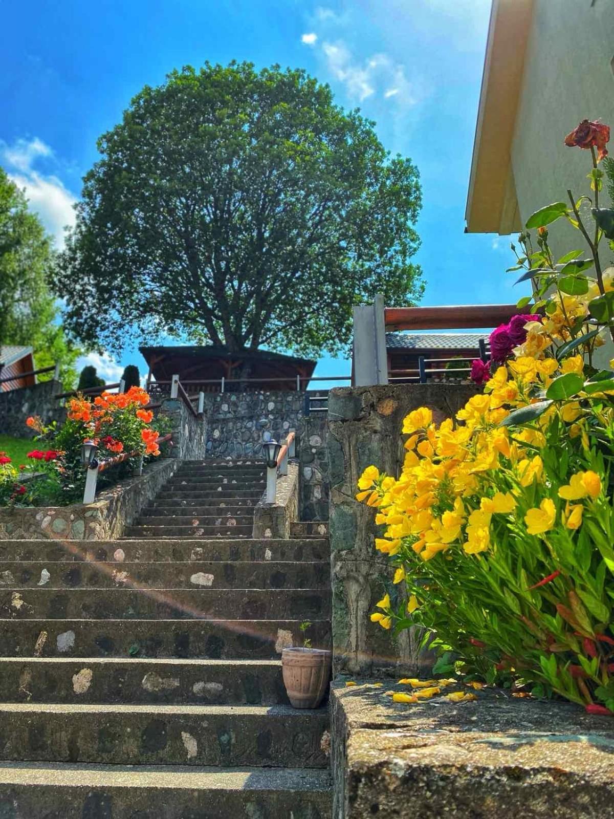 Motel Krstac Mojkovac Luaran gambar